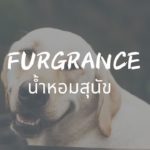 น้ำหอมสุนัข Furgrance